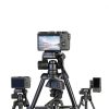 NEEWER TP52 Mini Tripod with Phone Holder Metal Plastic 4lb Capacity-2